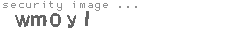 security image