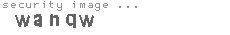 security image