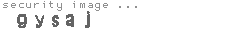 security image