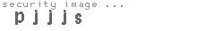 security image