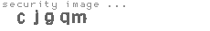 security image