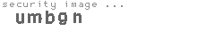 security image