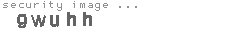 security image