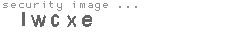 security image