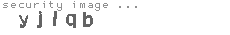 security image