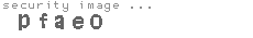 security image
