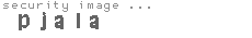 security image