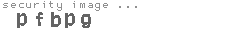 security image