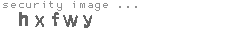 security image