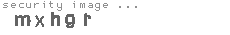 security image