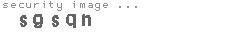 security image
