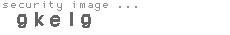 security image