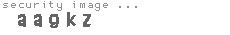 security image