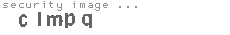 security image