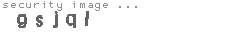 security image