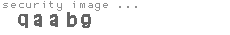 security image
