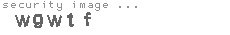 security image