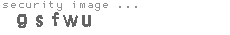 security image