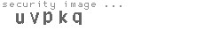 security image
