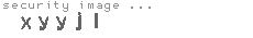 security image