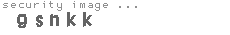 security image