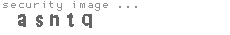 security image