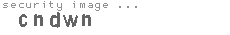 security image