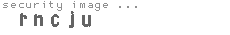 security image