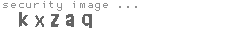 security image