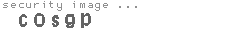 security image