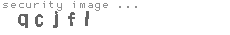 security image