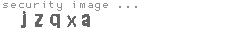 security image