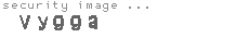 security image