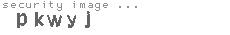security image