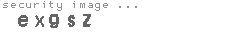 security image