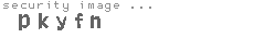 security image