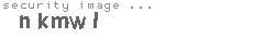 security image