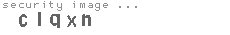 security image