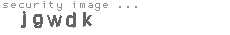 security image