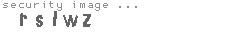 security image