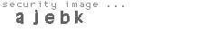security image