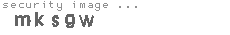 security image