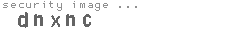 security image