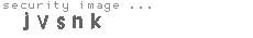 security image