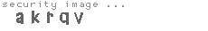 security image