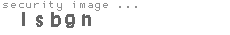 security image