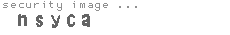 security image