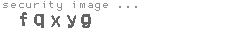 security image