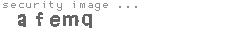 security image