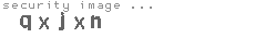 security image